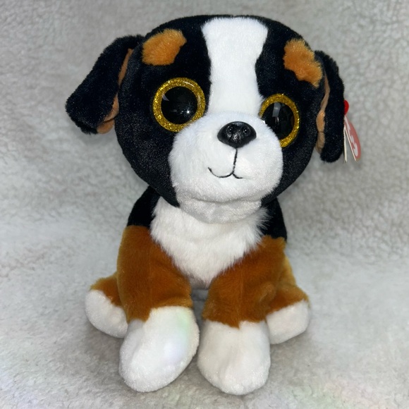 TY Classic Plush 2018 ROSCOE the Bernese Mountain Dog 9.5" gold glittery eyes - Picture 1 of 12